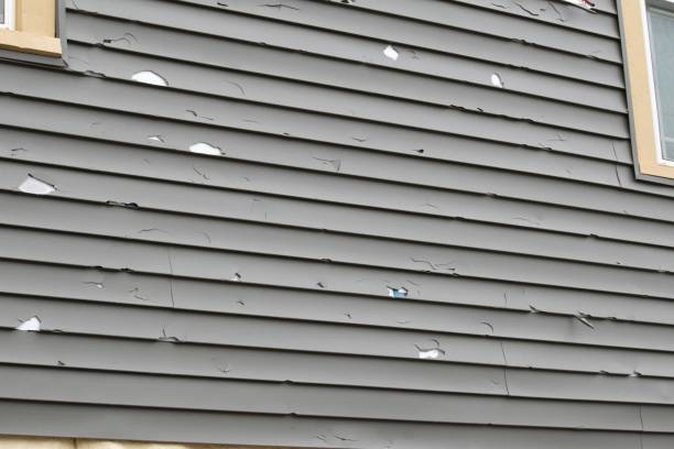 Best Shed Removal  in Maywood, CA